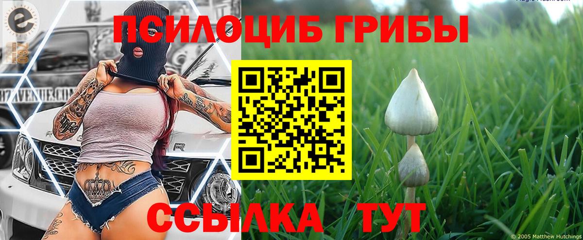 Галлюциногенные грибы Psilocybe  Галлюциногенные грибы MAGIC MUSHROOMS  хочу наркоту  Вход с VPN  Клин 